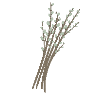 Flowers Spring Sticker