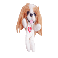 Cavalierkingcharlesspaniel Sticker