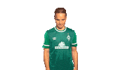 Schmidt Sticker by SV Werder Bremen