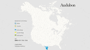 least grebe GIF by audubon