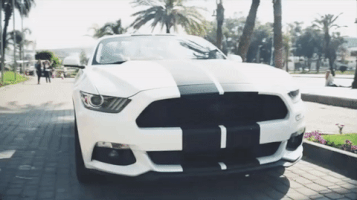 boom boom GIF by RedOne