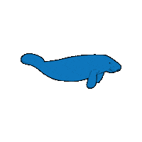 Manatee Sticker by SaveTheManateeClub