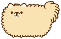 Dog Pomeranian Sticker