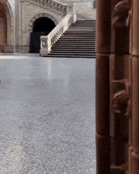 Pokemon Hello GIF by Respective