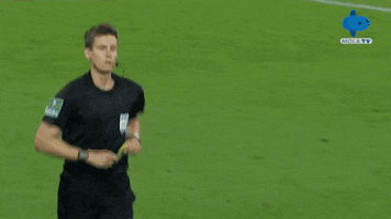 Angry Bundesliga GIF by MolaTV