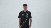 Celebration Go GIF by G2 Esports