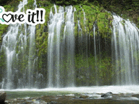 Glossar Deckungsbeitrag GIF by FranchiseONE.de