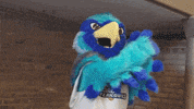Cheering Hooray GIF by Anne Arundel Community College