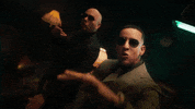 Pitbull GIF by Daddy Yankee