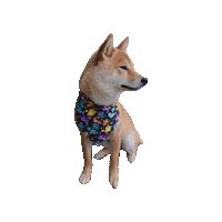 Shiba Inu Pokemon Sticker by Geekster Pets