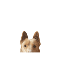 Moonspacedog Sticker by hamlet