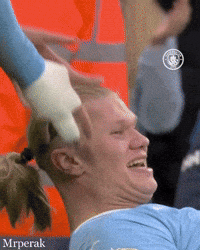 Premier League Football GIF