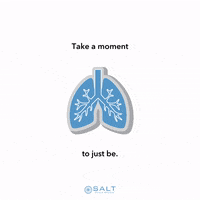 Saltcyclestudios  GIF