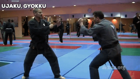 martial arts mma GIF by AKBAN Academy