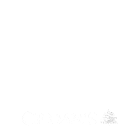 Vegan Chips Sticker by Cedar's Foods