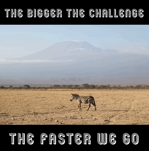 Challenge Esports GIF by BS+COMPETITION