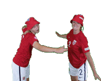 Czech Republic Women Sticker by Norges Fotballforbund