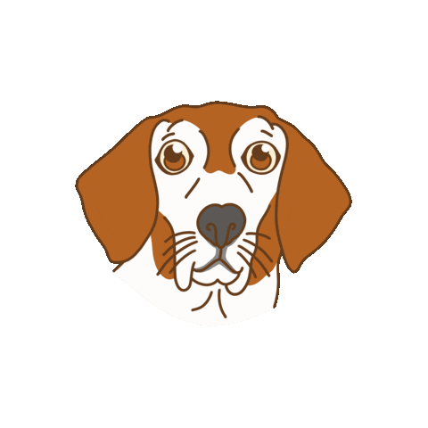 Happy Basset Hound Sticker by Bedsider