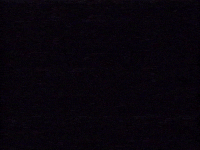 Vhs Software GIF by Squirrel Monkey