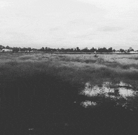 Black And White GIF by Alina Sánchez