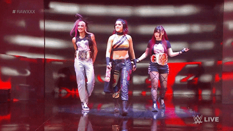 Wwe Wrestling GIF by USA Network