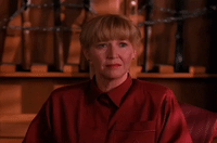 season 2 GIF by Twin Peaks on Showtime