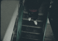 City Walk GIF by Sub Pop Records