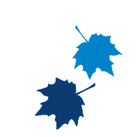 Saint Louis Fall Sticker by St. Louis Community College