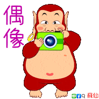 Idol Photograph Sticker