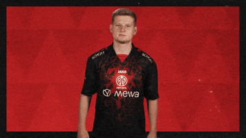 Mainz 05 Football GIF by Bundesliga