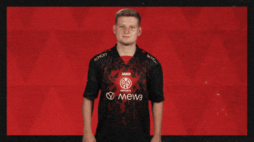 Mainz 05 Hello GIF by Bundesliga