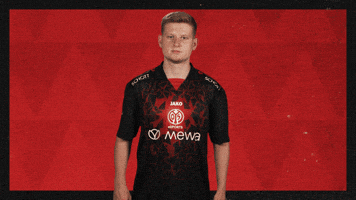 Mainz 05 Football GIF by Bundesliga