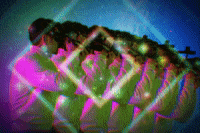 arrici film music video camera korea GIF
