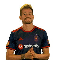 Vamos Chicago Fire Sticker by Chicago Fire Football Club