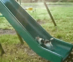 time videos GIF