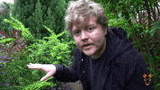 Blue Planet Jungle GIF by The Goat Agency
