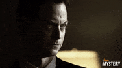 New York Drama GIF by ION Mystery