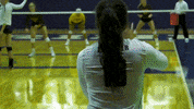 TrineUniversity trine university trine thunder trine athletics trineu GIF