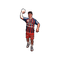 Handball Sport21 Sticker by natascha