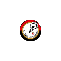 DVSGroesbeek dvsg groesbeek dehorst voetbalgroesbeek Sticker