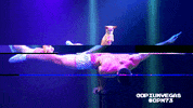 Las Vegas Dog GIF by Spiegelworld