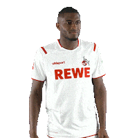 1 Fc Cologne Yes Sticker by 1. FC Köln