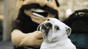 Good Boy Puppy GIF by University of Idaho