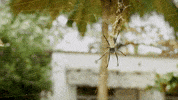 Summer Beach GIF by DEEPSYSTEM