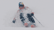Glacier_3000 winter ski switzerland freeride GIF