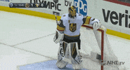 ice hockey thank you GIF by NHL