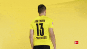 Happy Borussia Dortmund GIF by Bundesliga