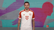 Fc Bayern Heart GIF by Bundesliga