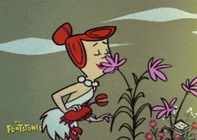 Fred Flintstone Flower GIF by Boomerang Official