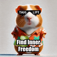 Wisdom Release GIF by Guinea Gambino